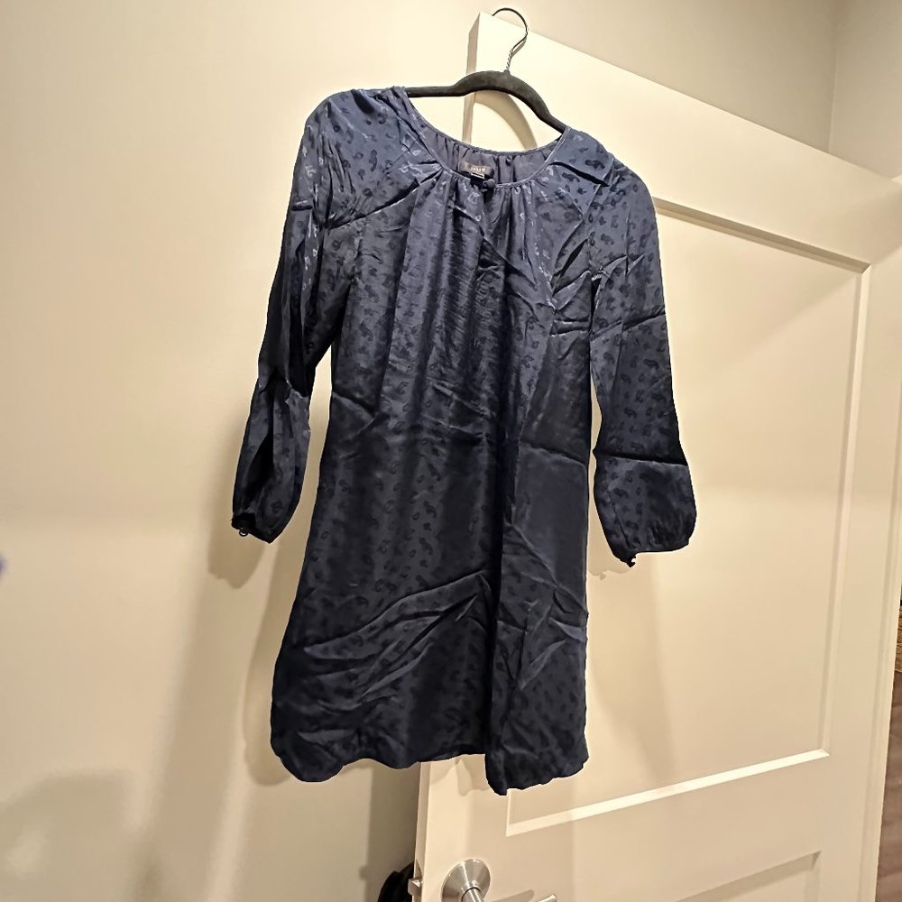 Silk Jcrew Mini Dress with Sleeves